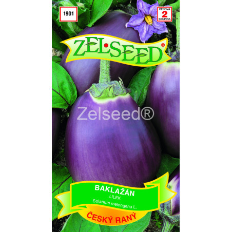 Baklazan cesky rany