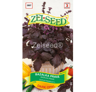 Bazalka Dark Opal g