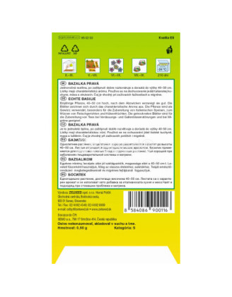 Bazalka prava Lettuce leaf