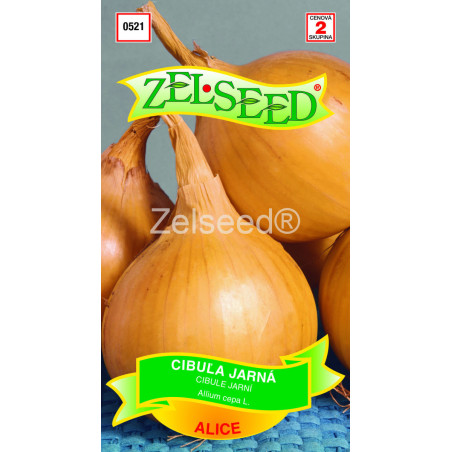 Cibula jarna Alica