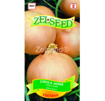 Cibula jarna Vsetana