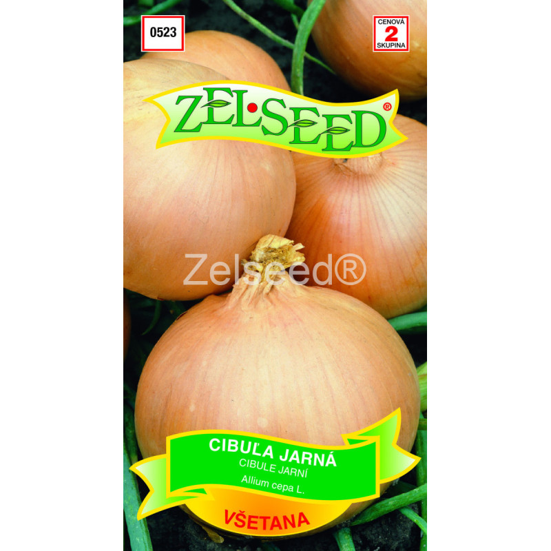 Cibuľa jarná Vsetana