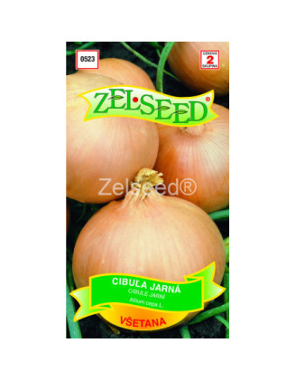 Cibula jarna Vsetana