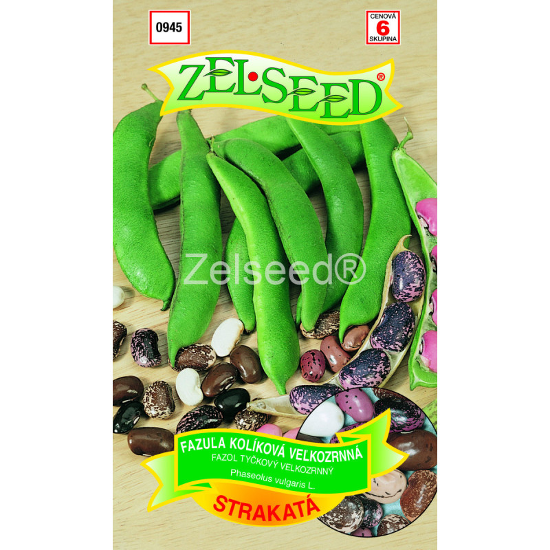 Fazuľa kolíková Strakata