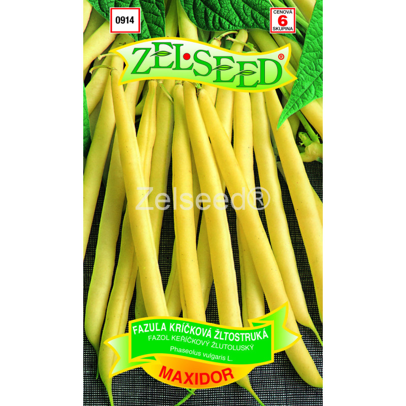 Fazuľa kríčková žltostruká Maxidor