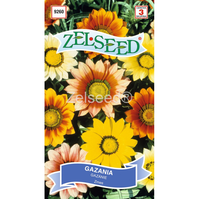 Gazánia zmes ziariva