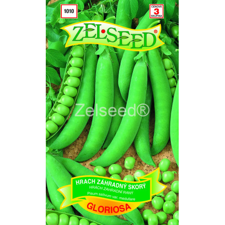 HRACH GLORIOSA SKORY 250G