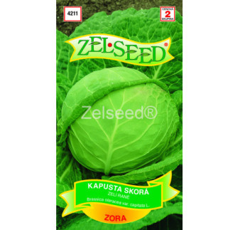 Kapusta biela skora Zora