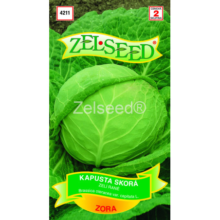 Kapusta biela skora Zora