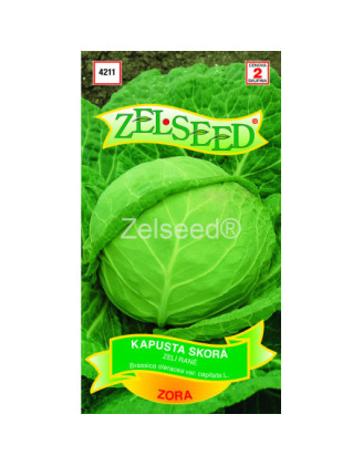 Kapusta biela skora Zora