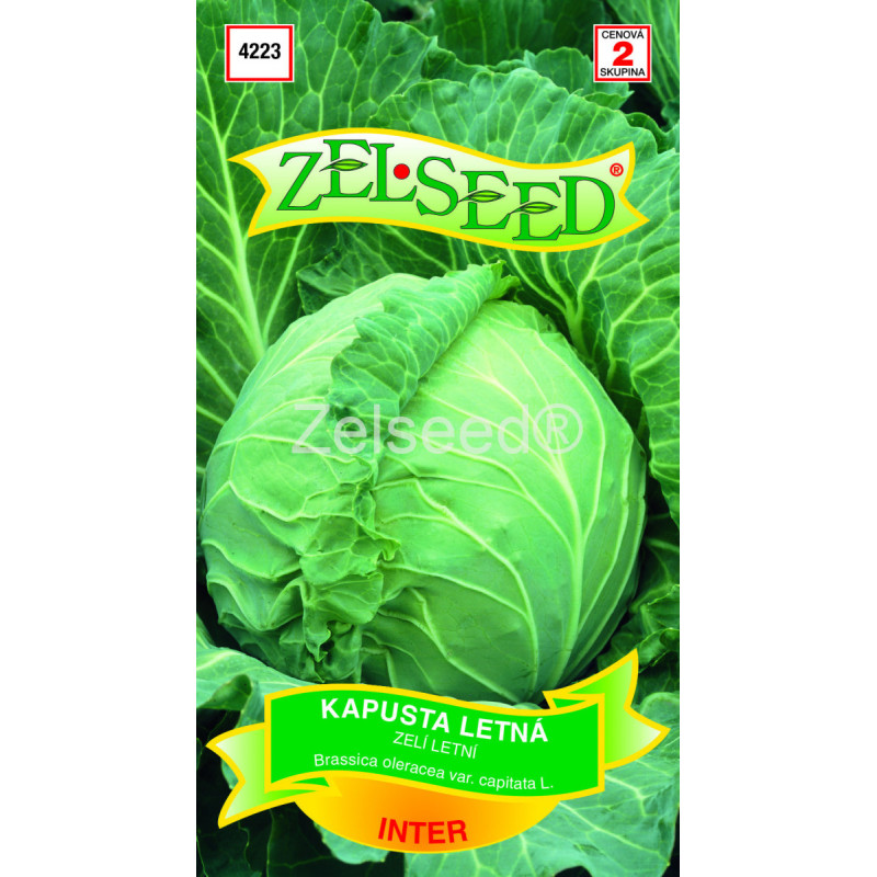 Kapusta biela skorá biela nter