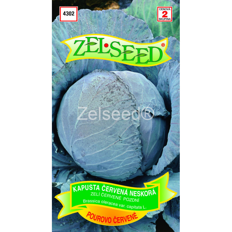Kapusta neskorá Pour červená