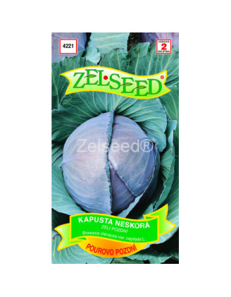 Kapusta neskora Pour Dobra