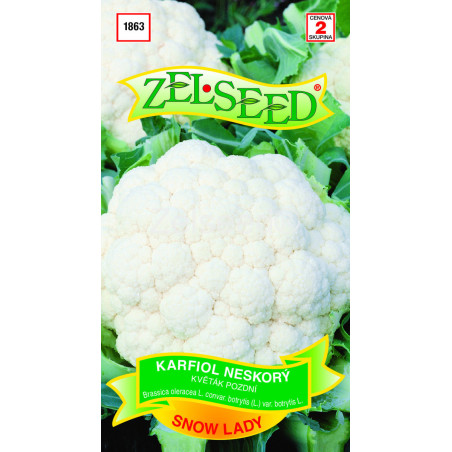 Karfiol neskory Snow lady