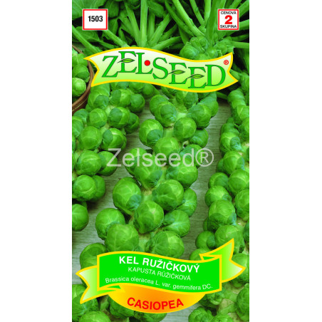 Kel ruzickovy Casiopea