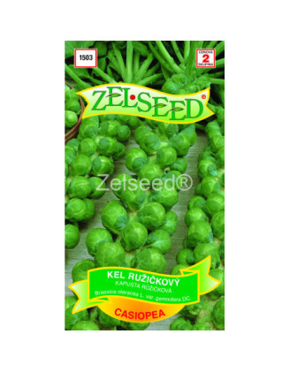 Kel ruzickovy Casiopea