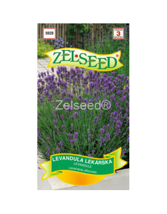 Levandula lekarska