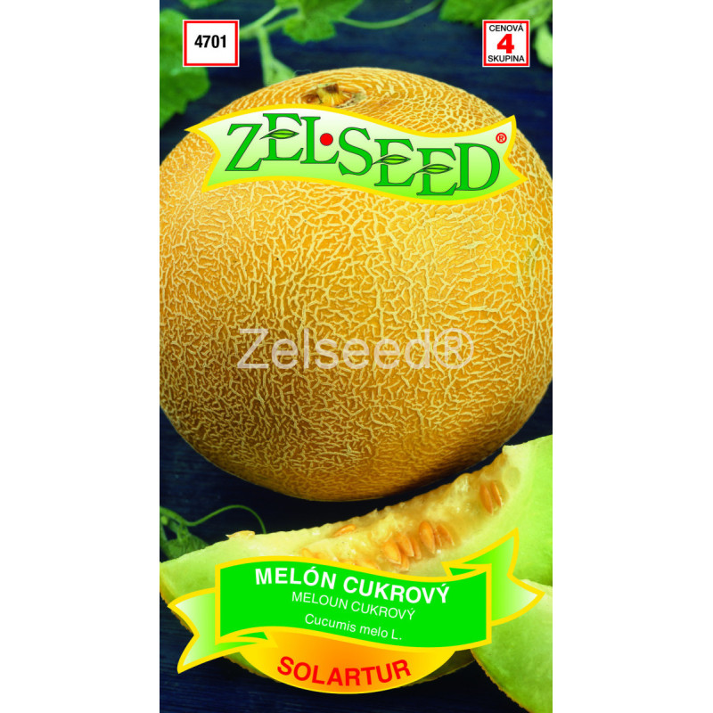 Melón cukrový Solartur