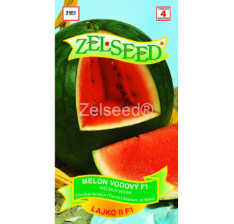 Melon vodovy Lajko
