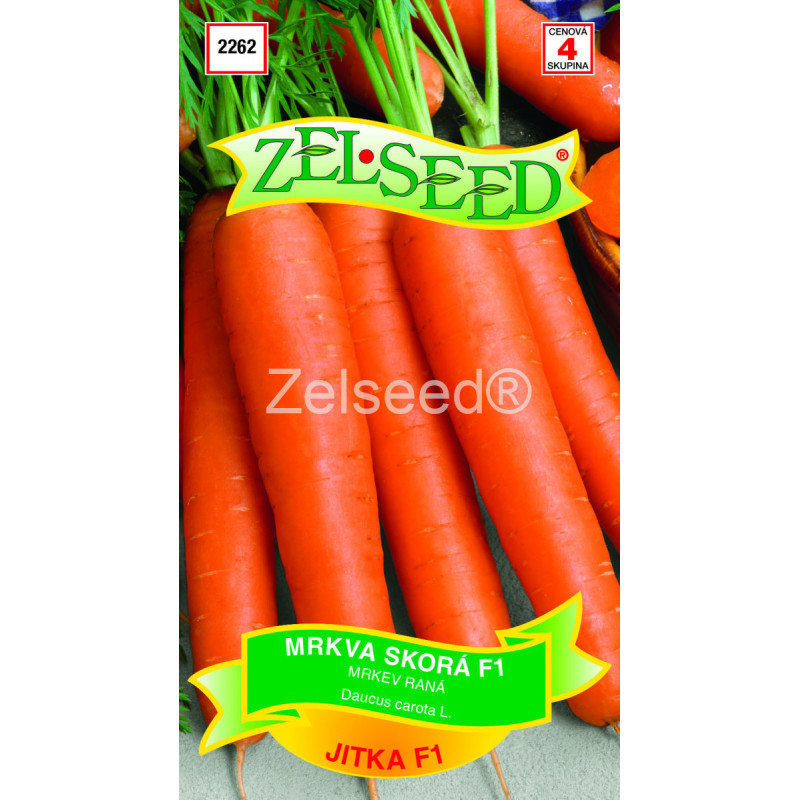 Mrkva skorá Jitka F1
