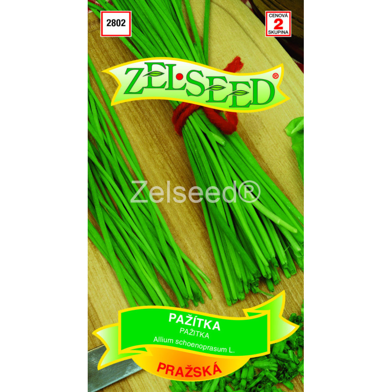 Pažítka Pražská