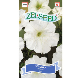 Petunia biela 68