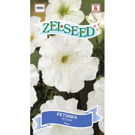 Petunia biela 68