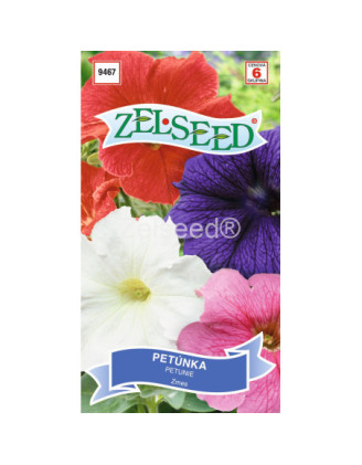 Petunia zmes