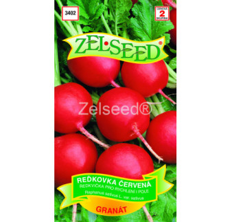 Redkovka cervena Granat AKCIA