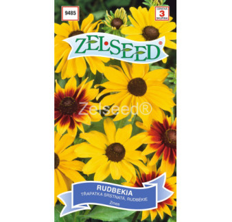 Rudbekia