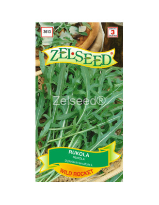 Rukola Wild rocket