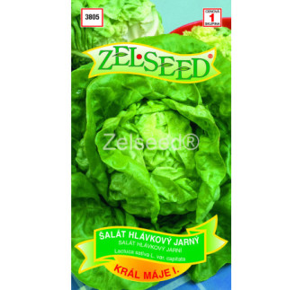 Salat jarny Kral maja AKCi