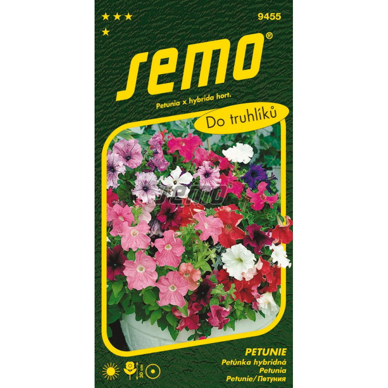 Petúnia hybridná zmes