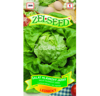 Salat jarny Lednicky