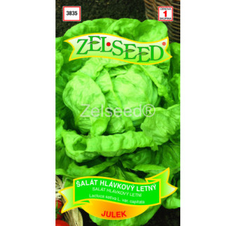 Salat letny Julek