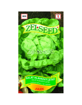 Salat letny Julek