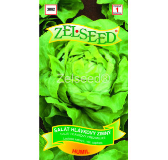 Salat zimny Humil