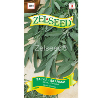 Salvia lekarska liecivka