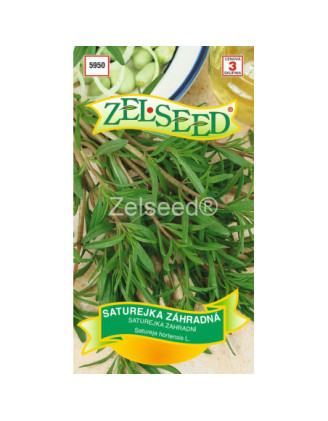 Saturejka zahradna
