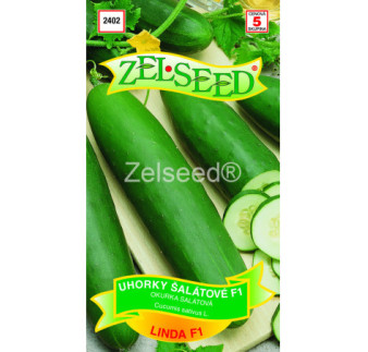 Uhorky sklenikove Linda F1