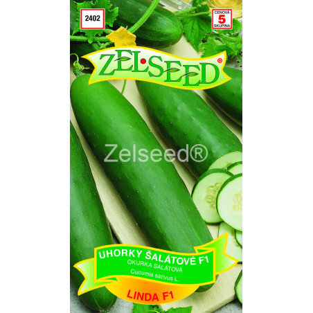 Uhorky sklenikove Linda F1