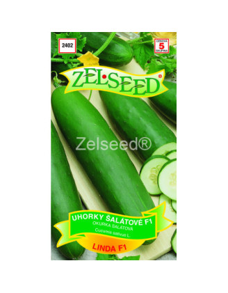 Uhorky sklenikove Linda F1