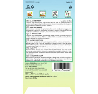 Zajačí chvostík – okrasná tráva