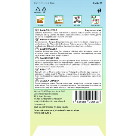 Zajačí chvostík – okrasná tráva