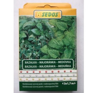 Majoranka Bazalka Medovka 3xm