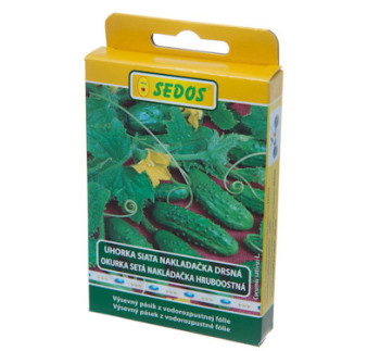 Uhorky nakladacky Regina F1 25ks obal