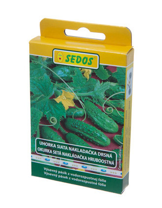 Uhorky nakladacky Regina F1 25ks obal