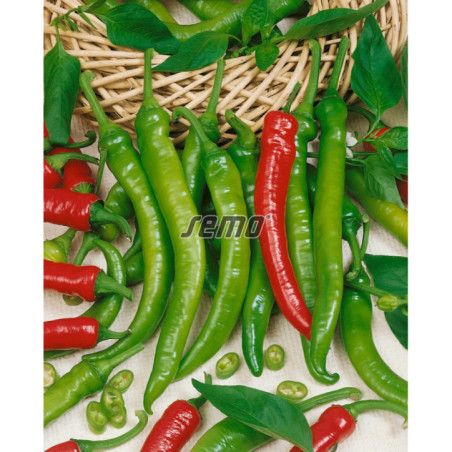 Paprika baraní roh Palivec