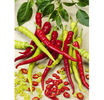 Paprika baraní roh Spiralus