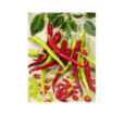 Paprika baraní roh Spiralus Paprika baraní roh Spiralus